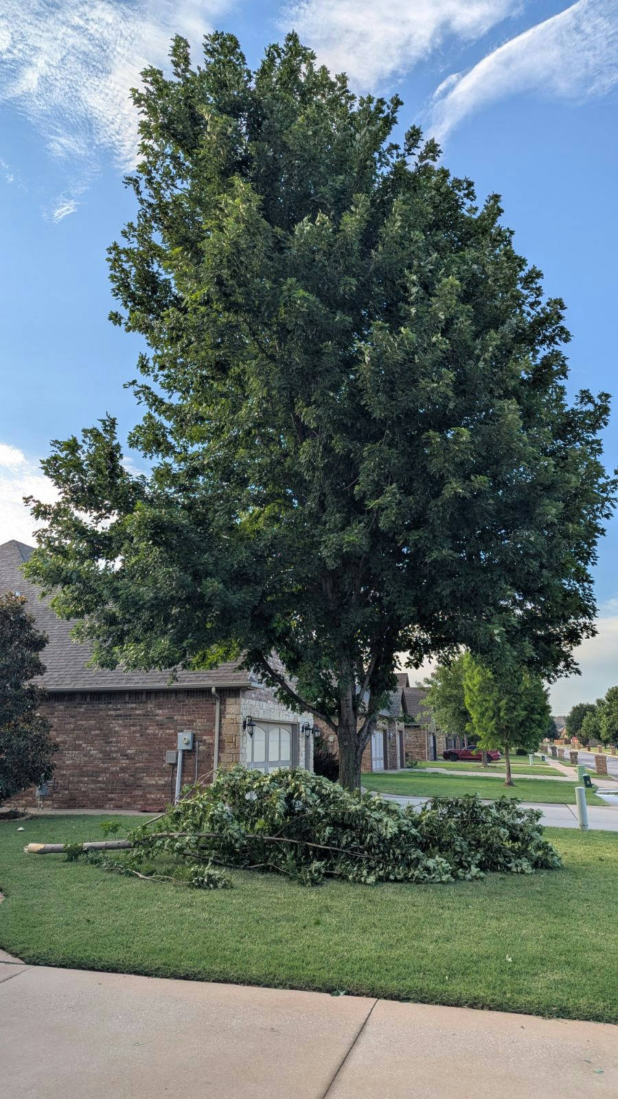 Large tree with branches on ground in front yard – tree removal in Northern Nashville, OK by Timber Tree Service